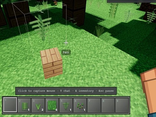 Voxel Frontier