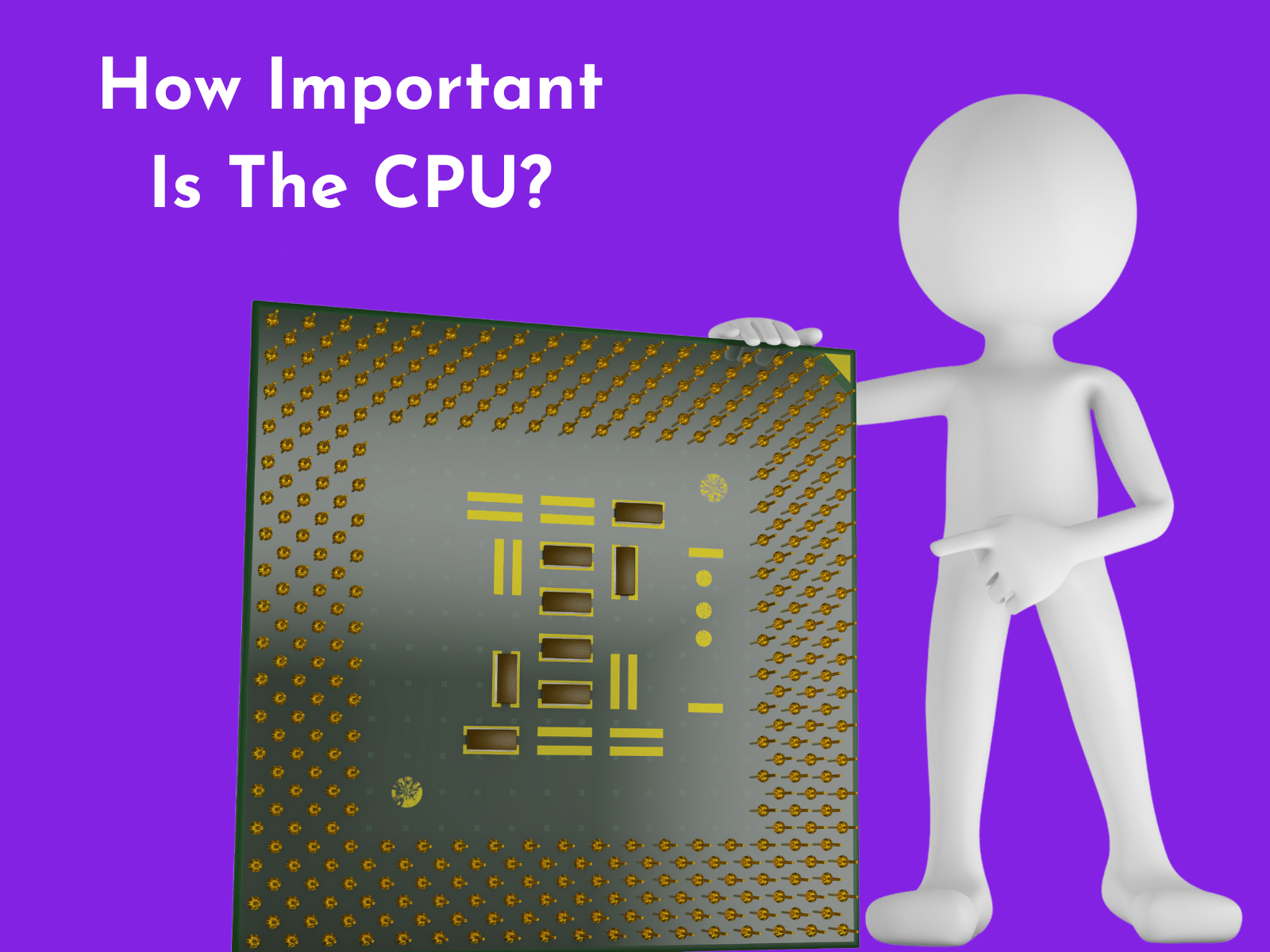 How Important Is The CPU?