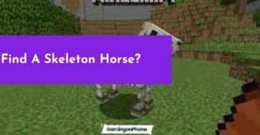 Find A Skeleton Horse?