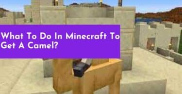 What To Do In Minecraft To Get A Camel?