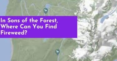 In Sons of the Forest, Where Can You Find Fireweed?