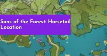 Sons of the Forest: Horsetail Location