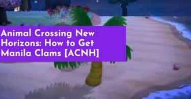 Animal Crossing New Horizons: How to Get Manila Clams [ACNH]