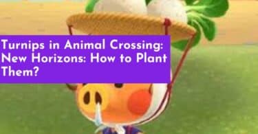Turnips in Animal Crossing: New Horizons: How to Plant Them?