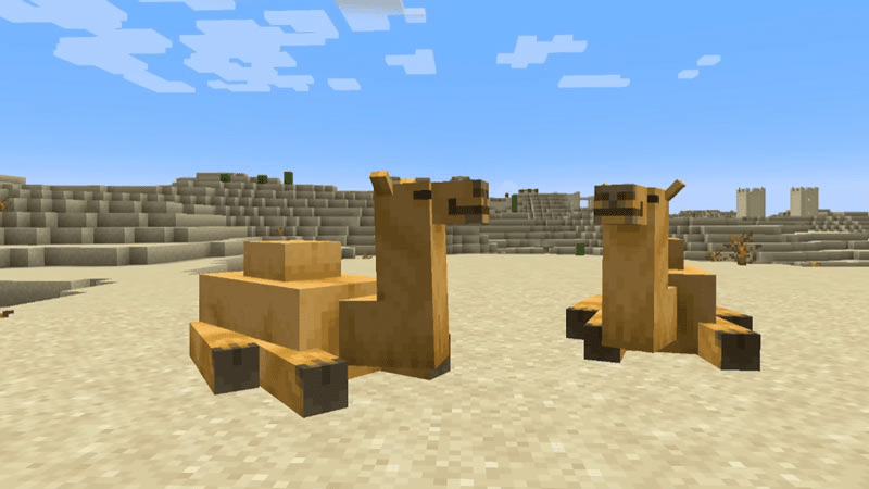 What to Do in Minecraft to Get a Camel?