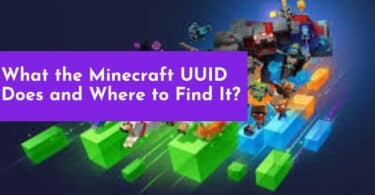 What the Minecraft UUID Does and Where to Find It?