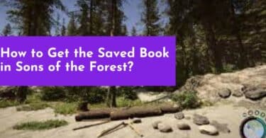 How to Get the Saved Book in Sons of the Forest?