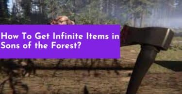 How To Get Infinite Items in Sons of the Forest?