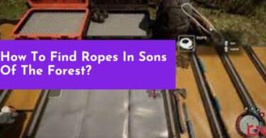 How To Find Ropes In Sons Of The Forest?