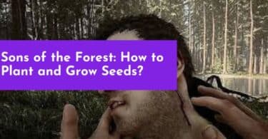 Sons of the Forest: How to Plant and Grow Seeds?