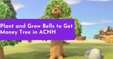Plant and Grow Bells to Get Money Tree in ACNH