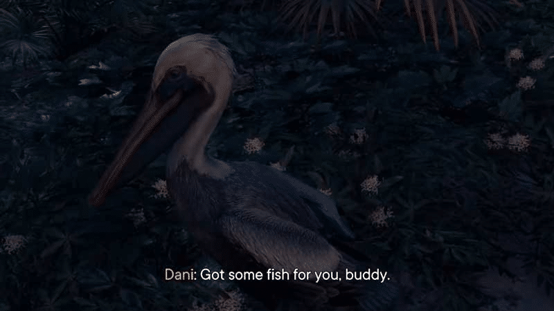 How and where can I find pelicans in Far Cry 6?