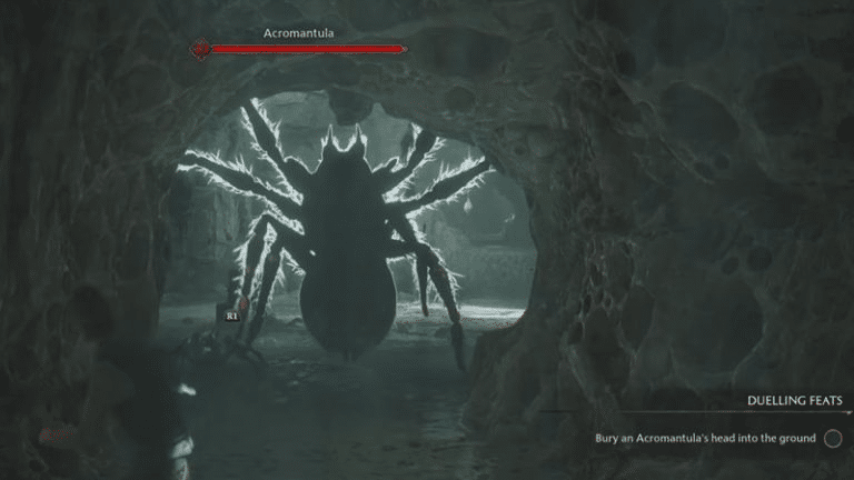 The Acromantula Dueling Feat: How to Bury a Spider's Head in the Ground in the Hogwarts Legacy?